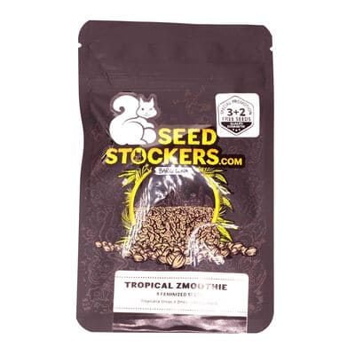 Tropical Zmoothie > Seed Stockers | Feminisierte Hanfsamen  |  Indica